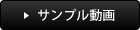 サンプル動画
