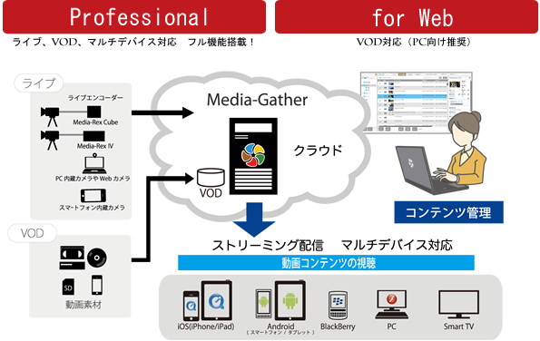 Media-Gatherの導入イメージとエディションについて