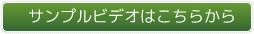 サンプルビデオはこちらから